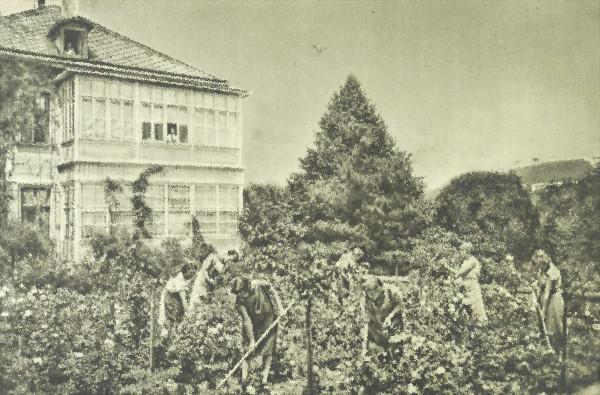 Gartenbauschülerinnen von Yella Hertzkas Gartenbauschule bei der Arbeit 1929