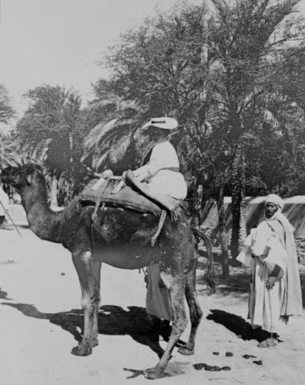 Alice Schalek auf einem Kamel (1913)