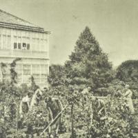Gartenbauschülerinnen von Yella Hertzkas Gartenbauschule bei der Arbeit 1929