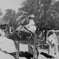 Alice Schalek auf einem Kamel (1913)